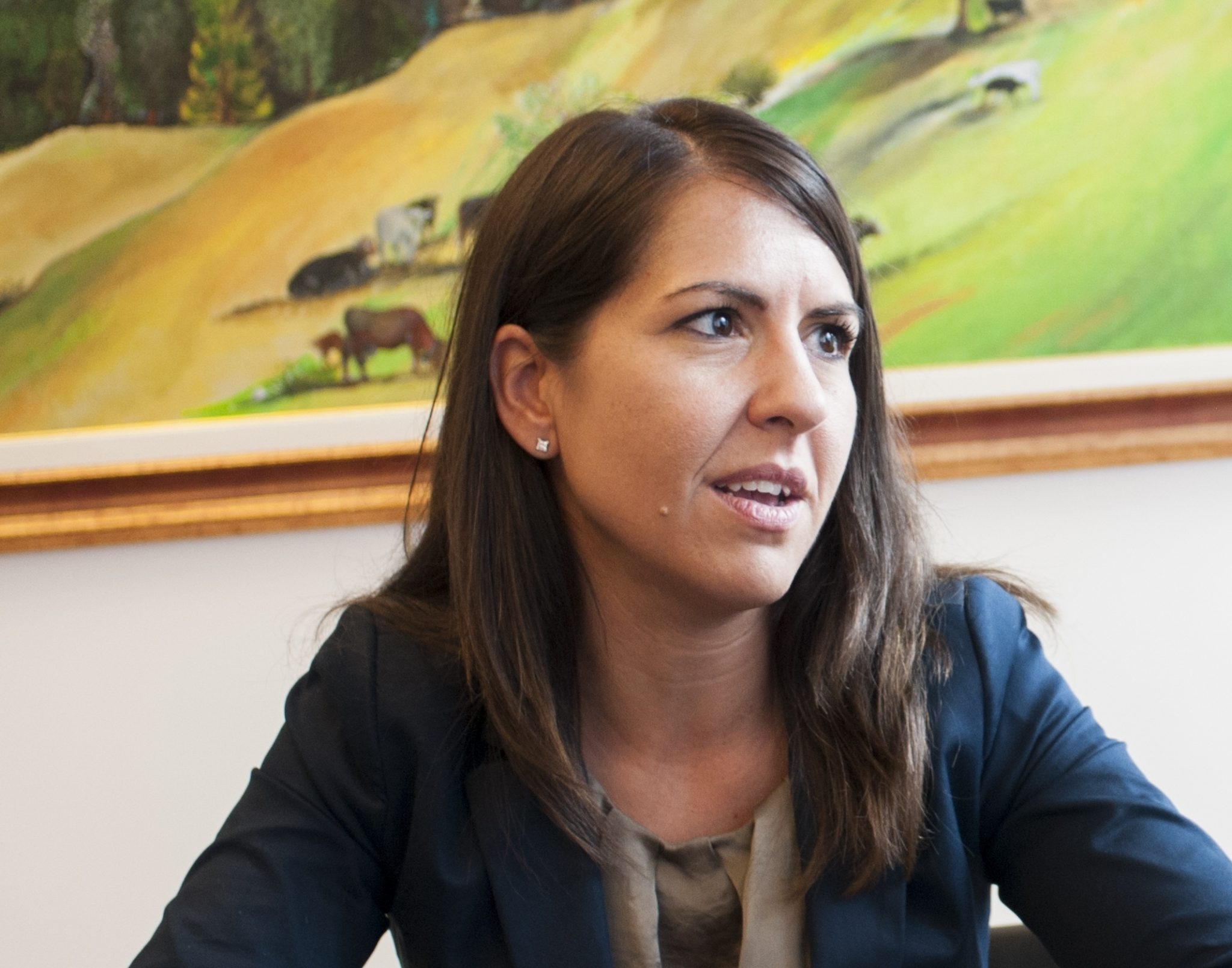 Digitalizzazione della giustizia, la roadmap ticinese