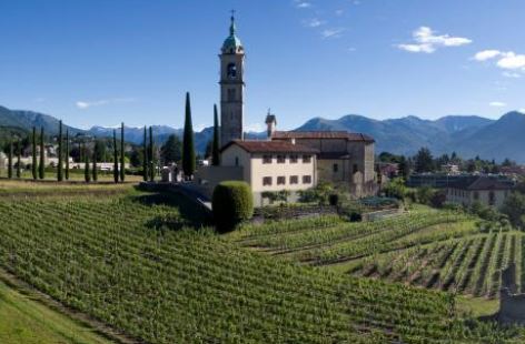 Votazione consultiva per l’aggregazione dei Comuni di Collina d’Oro e Muzzano