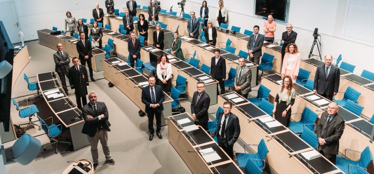 Dichiarazione di fedeltà alla Costituzione e alle leggi  