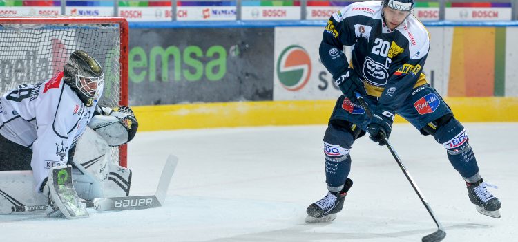 I tifosi tornano in curva