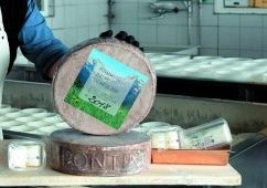 I formaggi da «mondiale» di Val Bedretto e Leventina