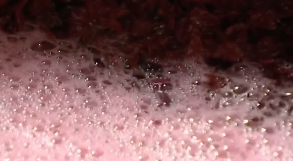 Il vino contraffatto resta bloccato