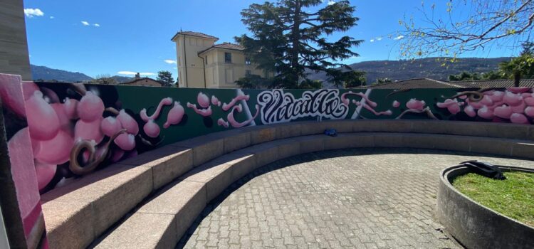 Basso Mendrisiotto unito: si accendono i motori