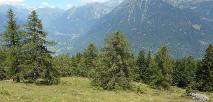 Cento Comuni in Ticino: “È un momento storico”