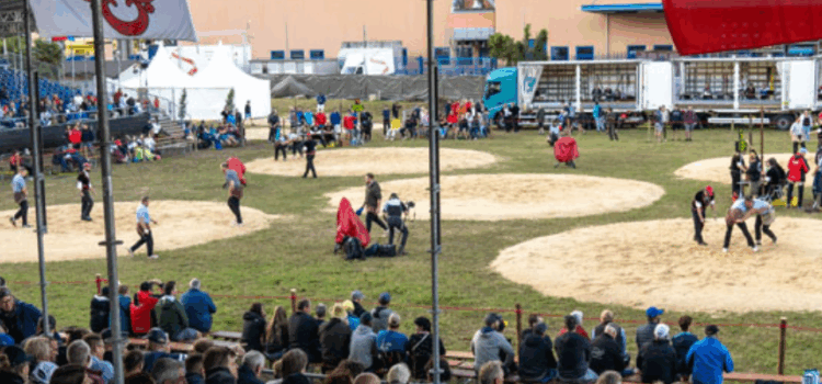 Salvate l’ex Re dalla segatura