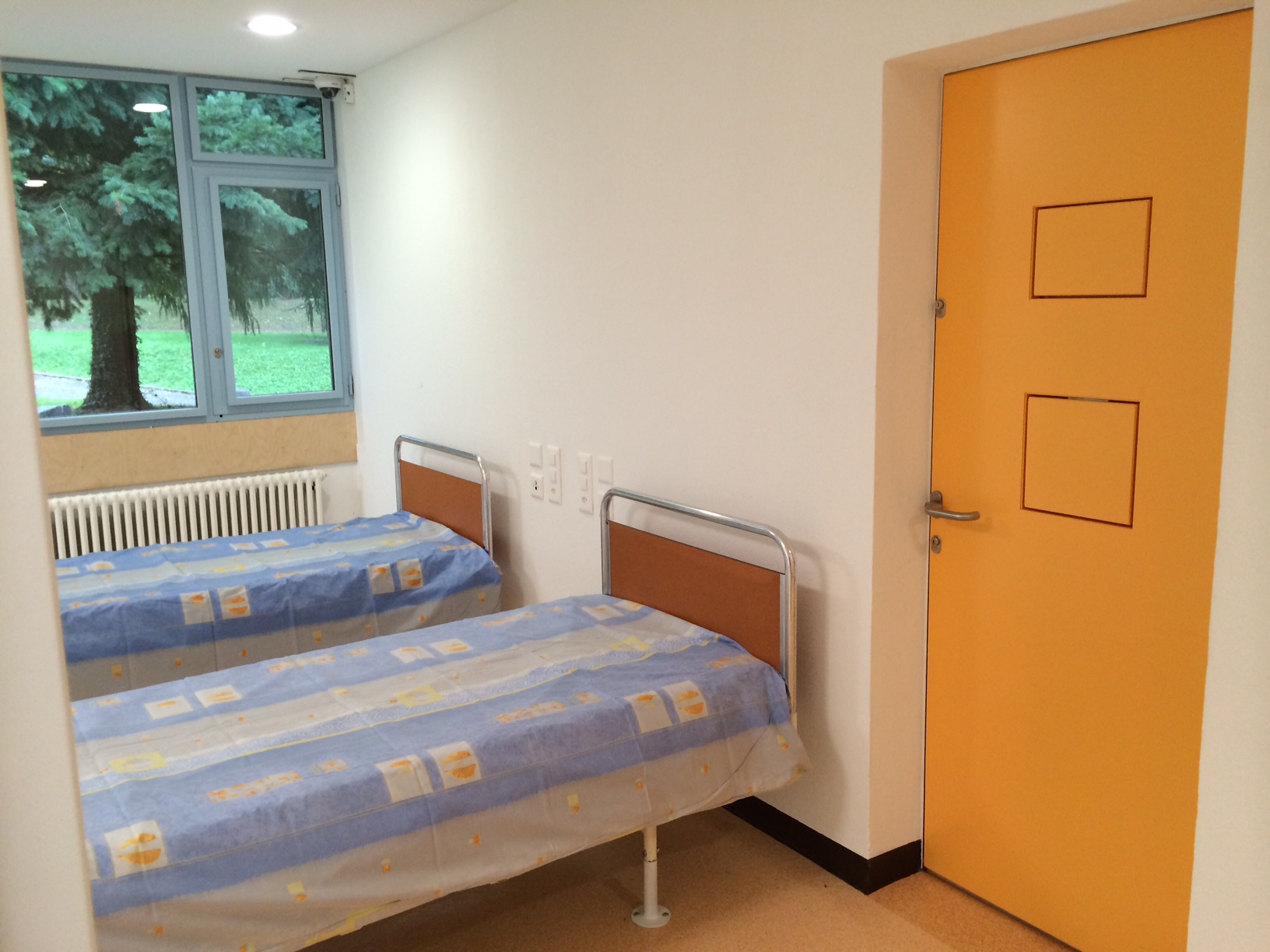 Sistemazione dei detenuti con problemi psichici: un progetto interdipartimentale