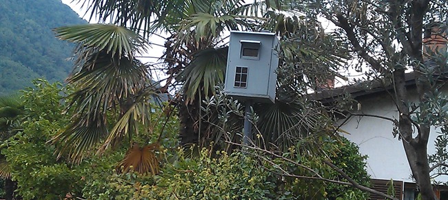 I finti radar conquistano i ticinesi